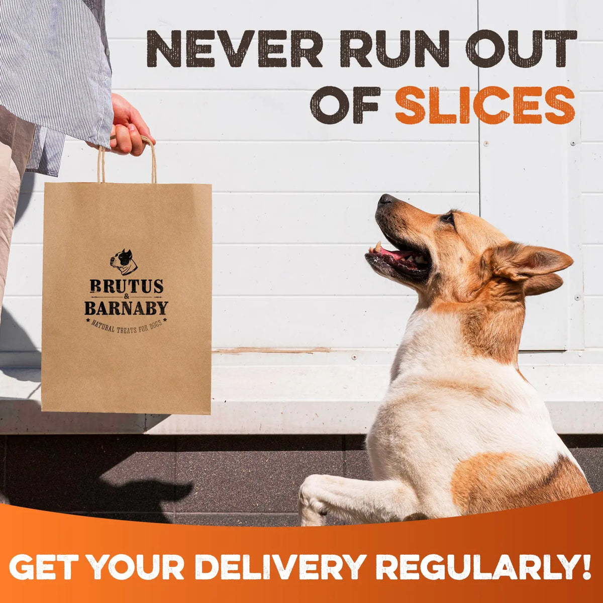 Sweet Potato Dog Treats - USA Grown - Brutus & Barnaby Single Ingredient Dehydrated Sweet Potato Slices, Thick Cut Chews, Grain & Gluten Free, High Fiber, Healthy Training Treats for Puppies & Senior Dogs, Picky Eaters & Sensitive Stomachs