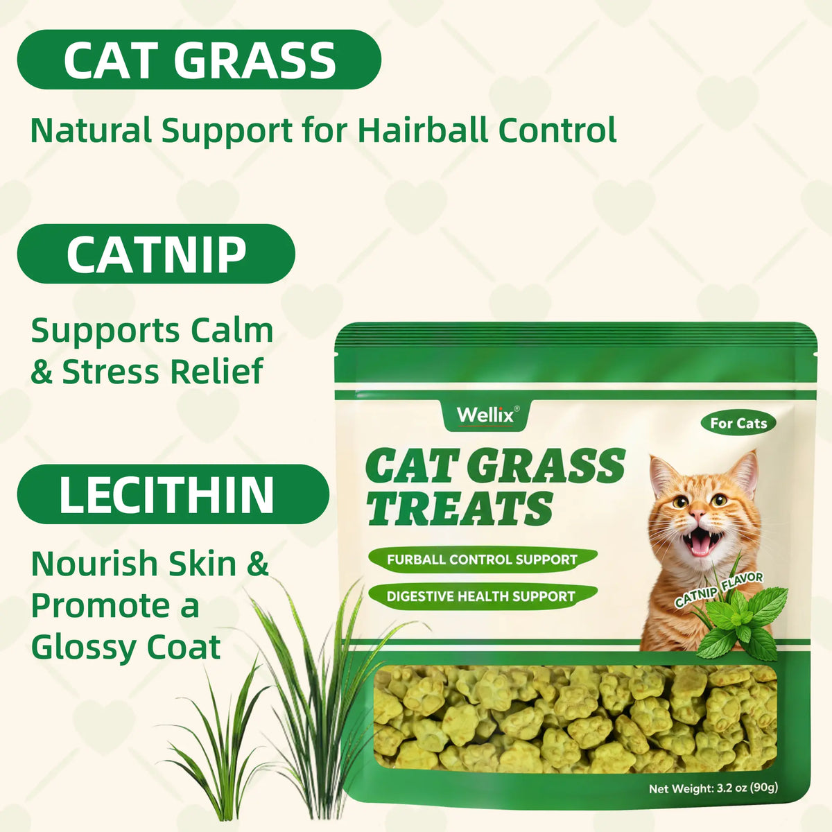 Wellix Dry Cat Treats - Biscuit Shape, Hairball Control, Natural Salmon, Feline Grass, Catnip, Dental Care for Indoor Cats & Kittens, 3.17Oz Feline Food for Feeding & Training,#Sohochic