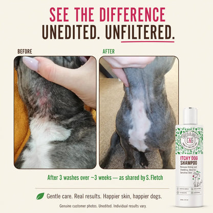 Dead Sea Itchy Dog Shampoo – 300Ml | Soothes Irritation & Supports Skin Hygiene Grooming Products Calming