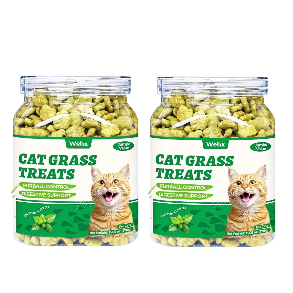 Wellix Dry Cat Treats - Biscuit Shape, Hairball Control, Natural Salmon, Feline Grass, Catnip, Dental Care for Indoor Cats & Kittens, 3.17Oz Feline Food for Feeding & Training,#Sohochic