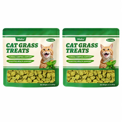 Wellix Dry Cat Treats - Biscuit Shape, Hairball Control, Natural Salmon, Feline Grass, Catnip, Dental Care for Indoor Cats & Kittens, 3.17Oz Feline Food for Feeding & Training,#Sohochic
