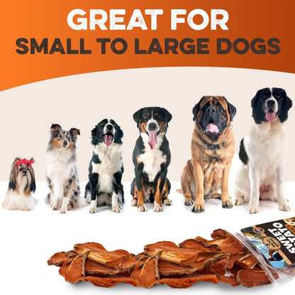 Sweet Potato Dog Treats - USA Grown - Brutus & Barnaby Single Ingredient Dehydrated Sweet Potato Slices, Thick Cut Chews, Grain & Gluten Free, High Fiber, Healthy Training Treats for Puppies & Senior Dogs, Picky Eaters & Sensitive Stomachs