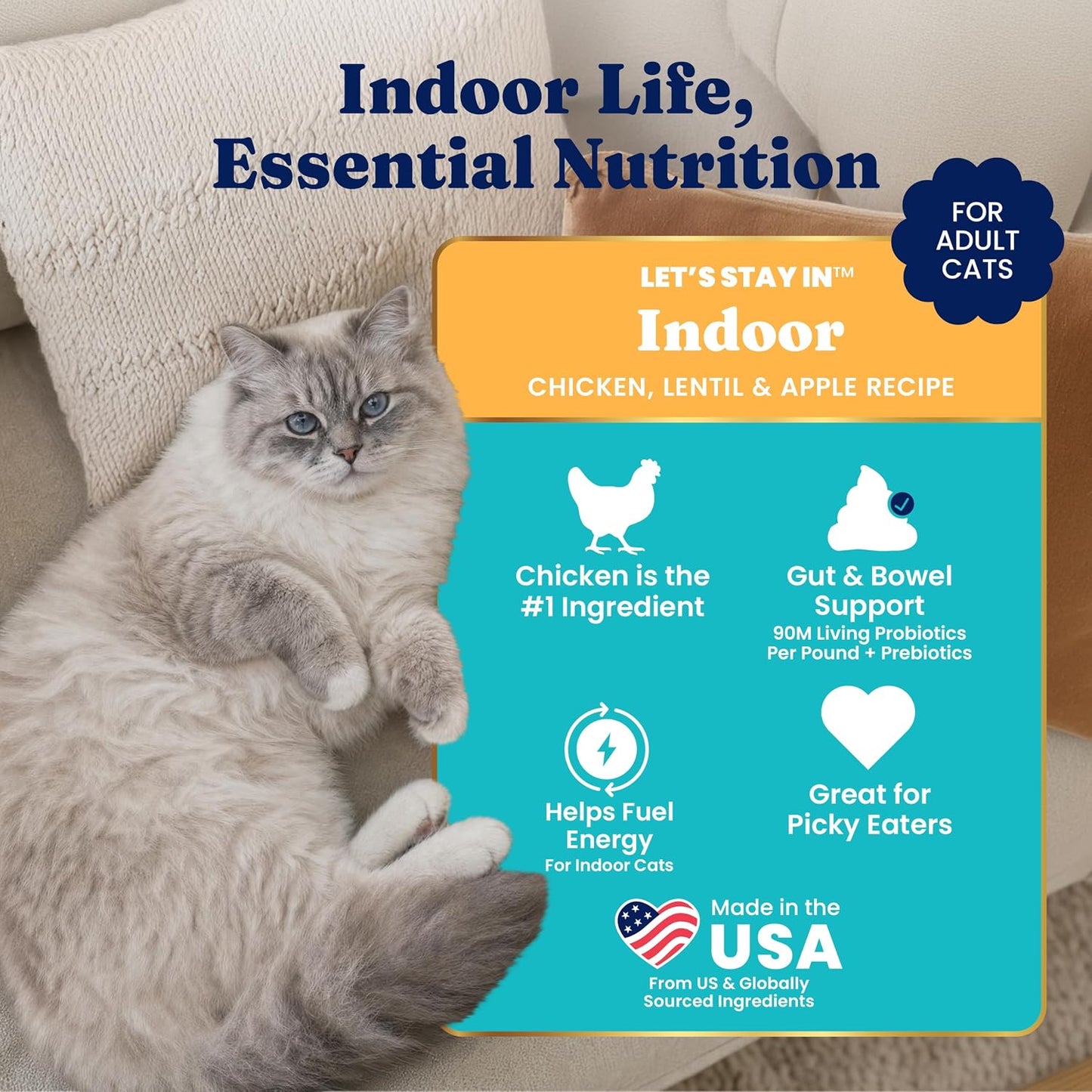 Indoor Chicken Dry Cat Food High Fiber, Adult & Senior Cats 12LB