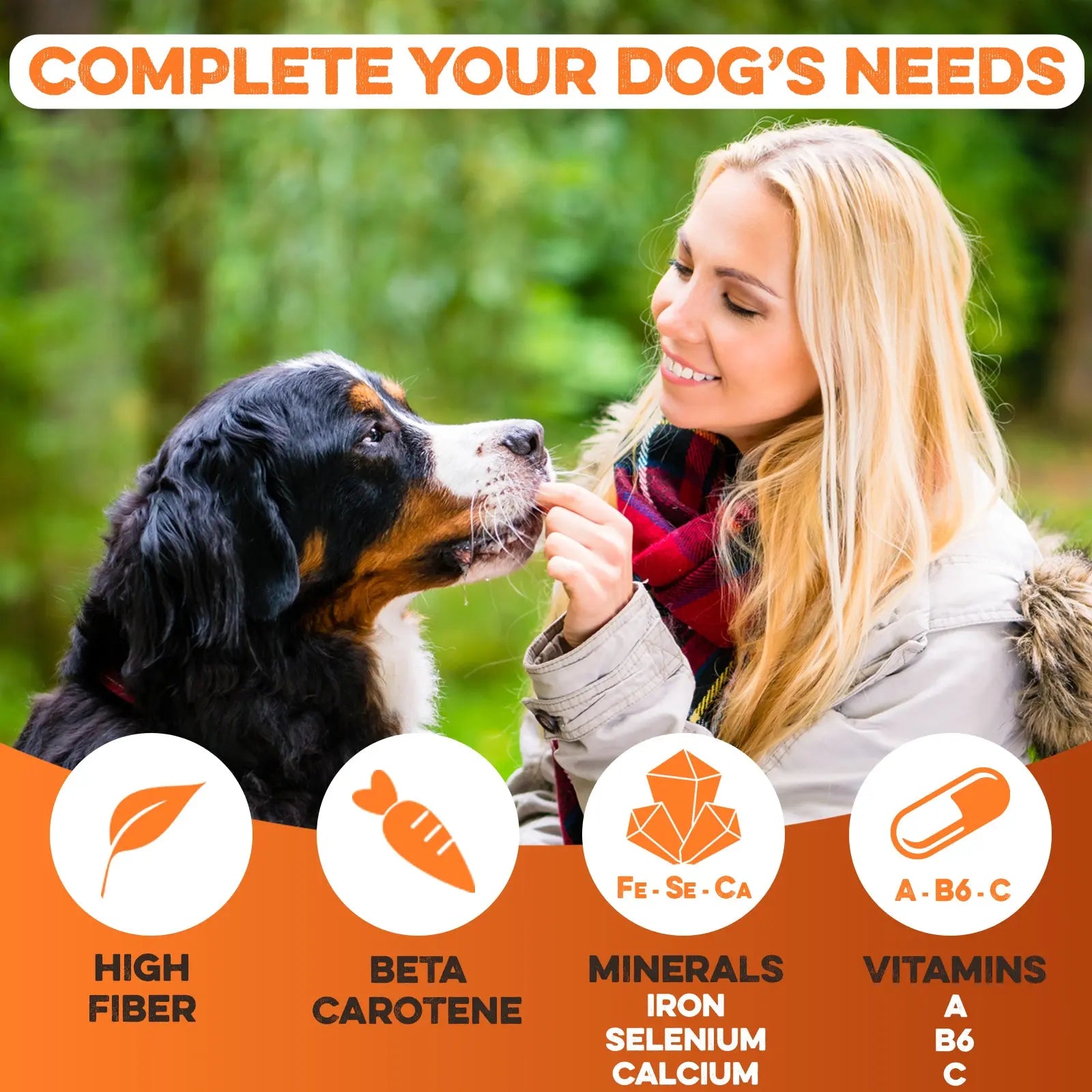 Sweet Potato Dog Treats - USA Grown - Brutus & Barnaby Single Ingredient Dehydrated Sweet Potato Slices, Thick Cut Chews, Grain & Gluten Free, High Fiber, Healthy Training Treats for Puppies & Senior Dogs, Picky Eaters & Sensitive Stomachs