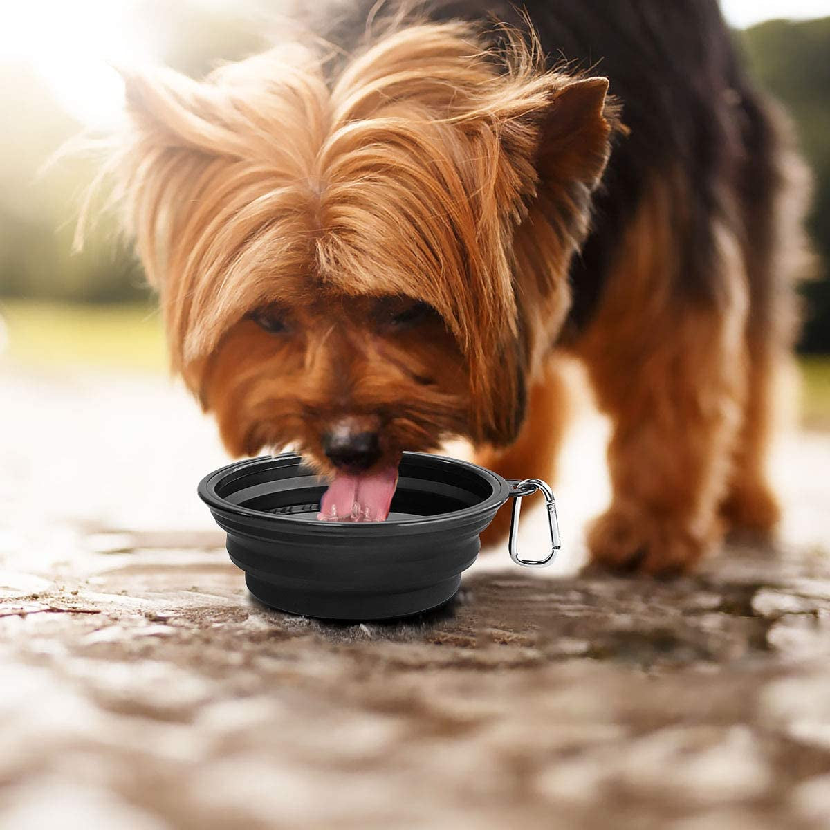 Large Collapsible Dog Bowls - 2 Pack, 34 Oz Foldable Travel Bowls for Pets