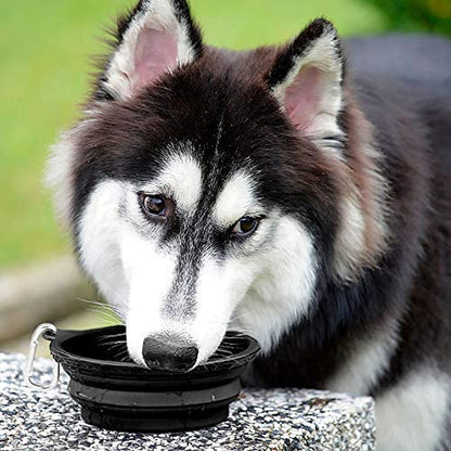 Large Collapsible Dog Bowls - 2 Pack, 34 Oz Foldable Travel Bowls for Pets