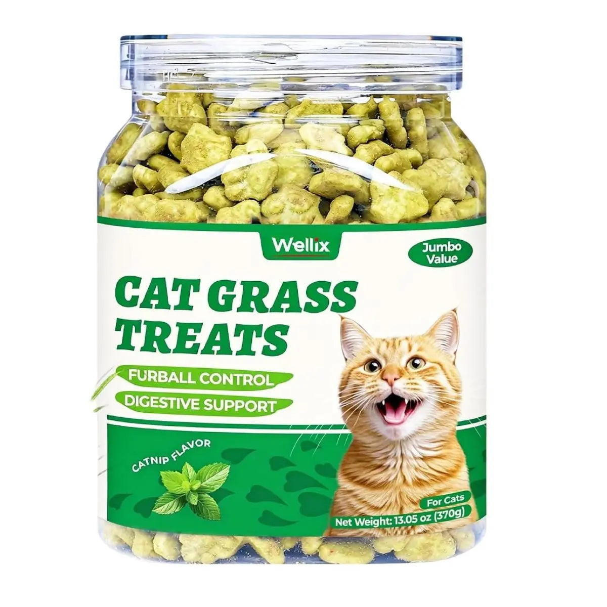Wellix Dry Cat Treats - Biscuit Shape, Hairball Control, Natural Salmon, Feline Grass, Catnip, Dental Care for Indoor Cats & Kittens, 3.17Oz Feline Food for Feeding & Training,#Sohochic