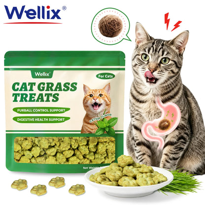 Wellix Dry Cat Treats - Biscuit Shape, Hairball Control, Natural Salmon, Feline Grass, Catnip, Dental Care for Indoor Cats & Kittens, 3.17Oz Feline Food for Feeding & Training,#Sohochic