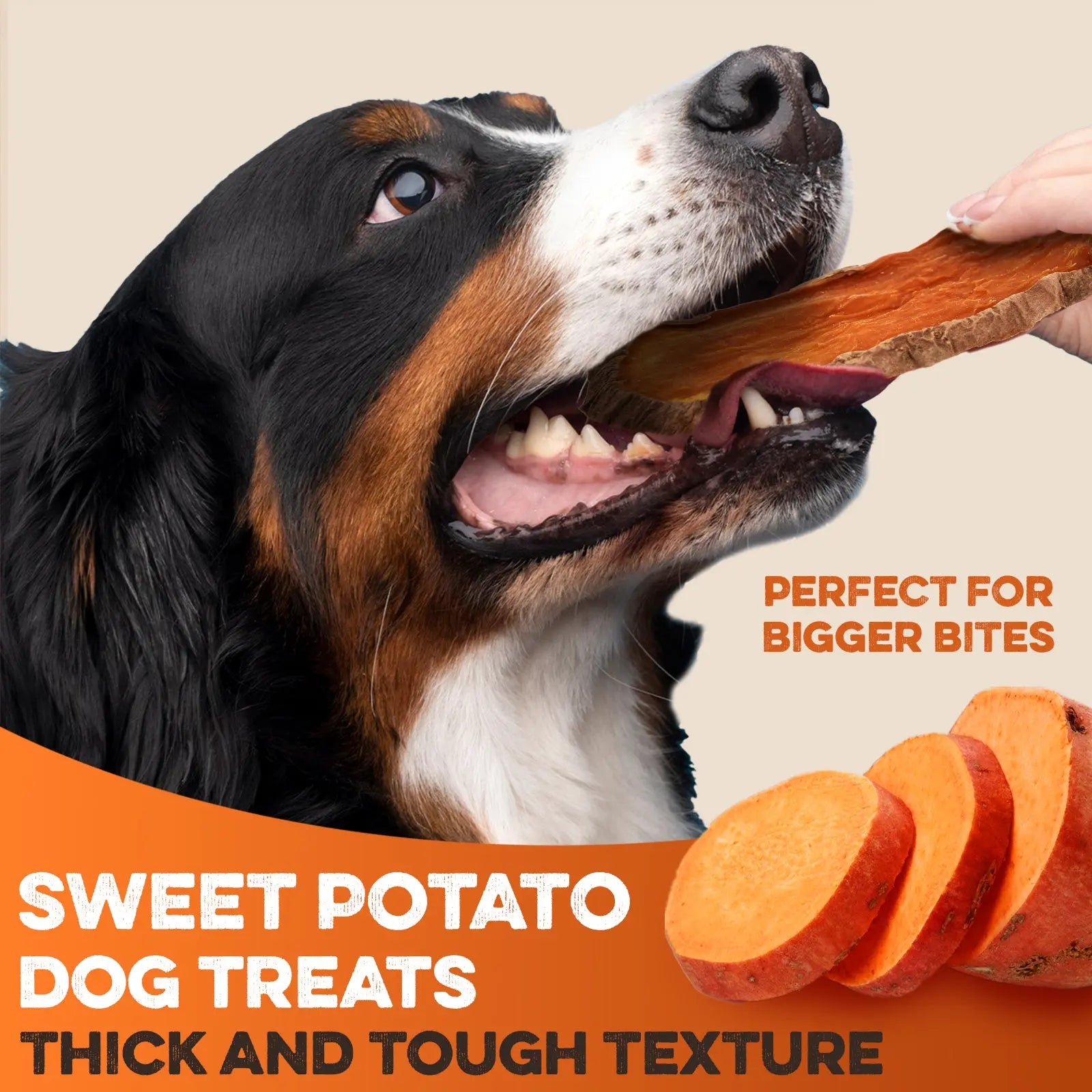 Sweet Potato Dog Treats - USA Grown - Brutus & Barnaby Single Ingredient Dehydrated Sweet Potato Slices, Thick Cut Chews, Grain & Gluten Free, High Fiber, Healthy Training Treats for Puppies & Senior Dogs, Picky Eaters & Sensitive Stomachs