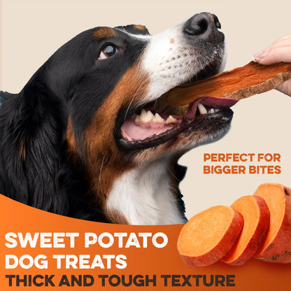 Sweet Potato Dog Treats - USA Grown - Brutus & Barnaby Single Ingredient Dehydrated Sweet Potato Slices, Thick Cut Chews, Grain & Gluten Free, High Fiber, Healthy Training Treats for Puppies & Senior Dogs, Picky Eaters & Sensitive Stomachs