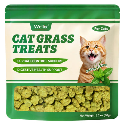 Wellix Dry Cat Treats - Biscuit Shape, Hairball Control, Natural Salmon, Feline Grass, Catnip, Dental Care for Indoor Cats & Kittens, 3.17Oz Feline Food for Feeding & Training,#Sohochic